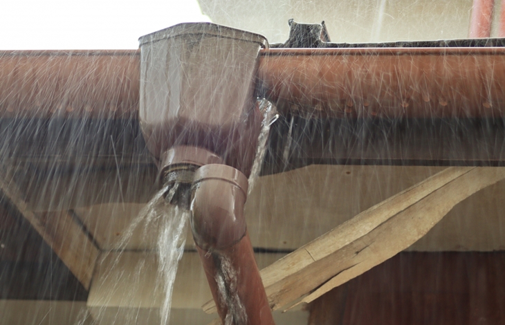 雨樋が詰まった